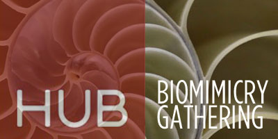 Hub-Biomimicry-Gathering